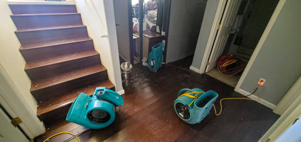 Best Flooded house restoration  in Sallisaw, OK