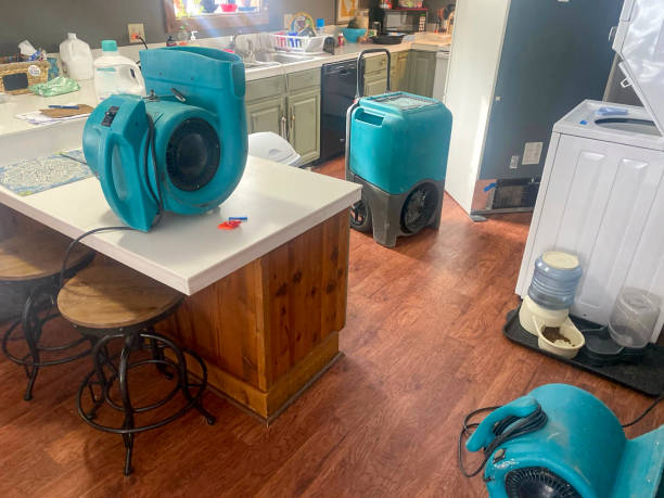 Best 24/7 water damage repair  in Sallisaw, OK