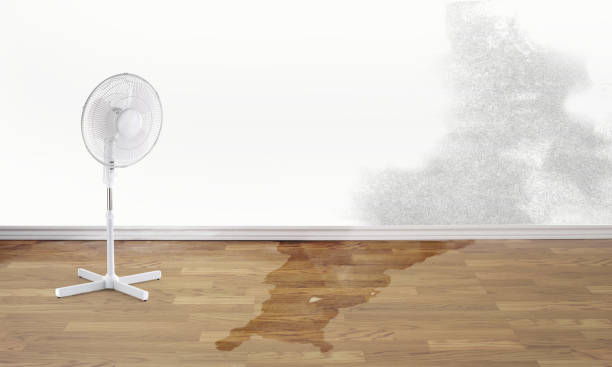 Best Residential water damage restoration  in Sallisaw, OK