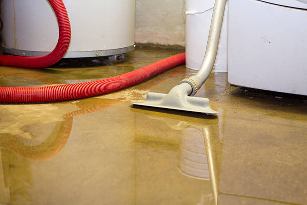 Best Flood restoration services  in Sallisaw, OK
