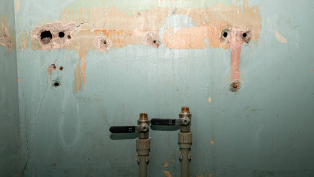 Best Ceiling water damage repair  in Sallisaw, OK