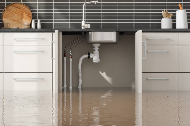 Best Local water damage restoration  in Sallisaw, OK